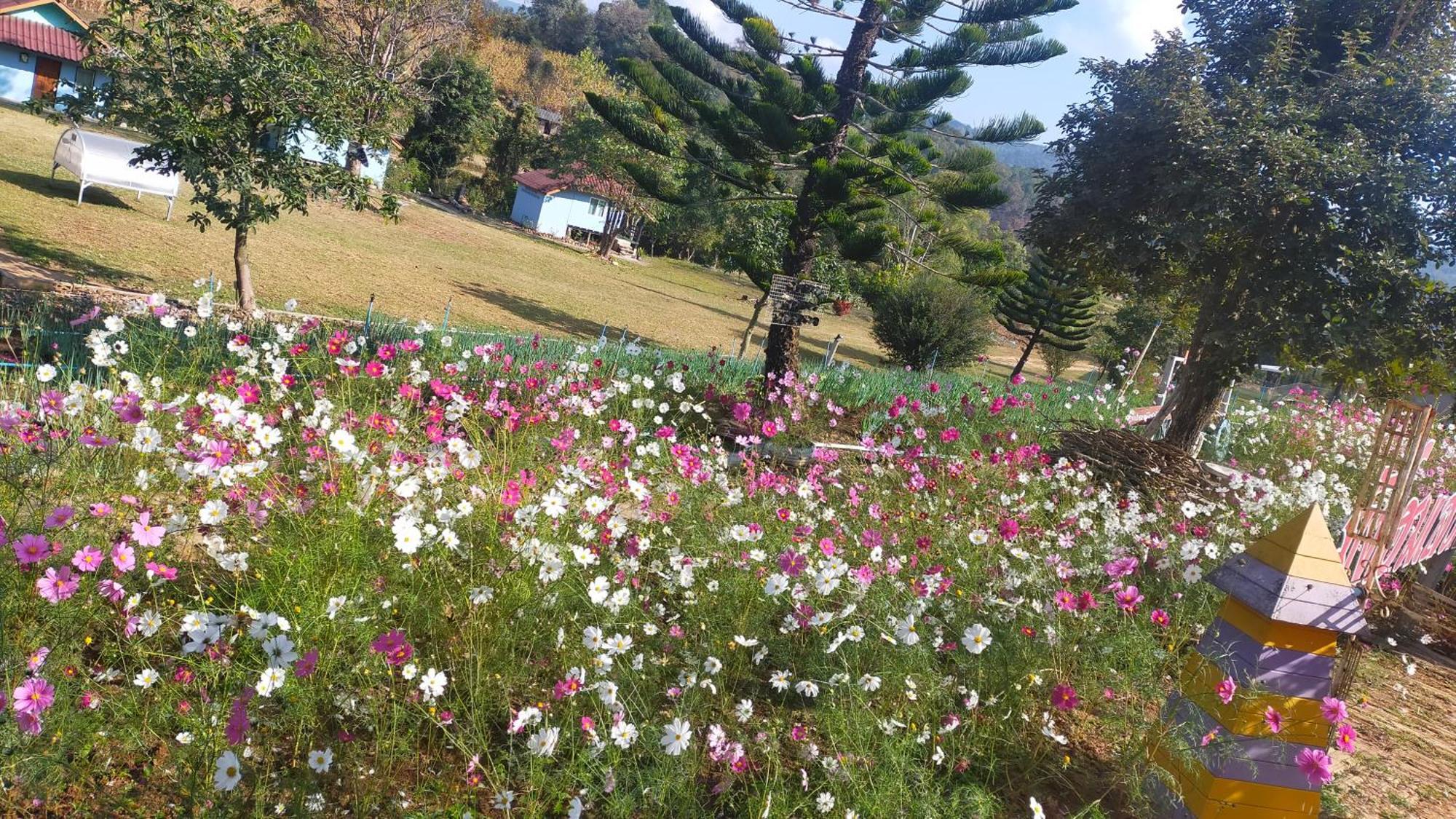 Pang Ung Mong Homestay Resort מראה חיצוני תמונה