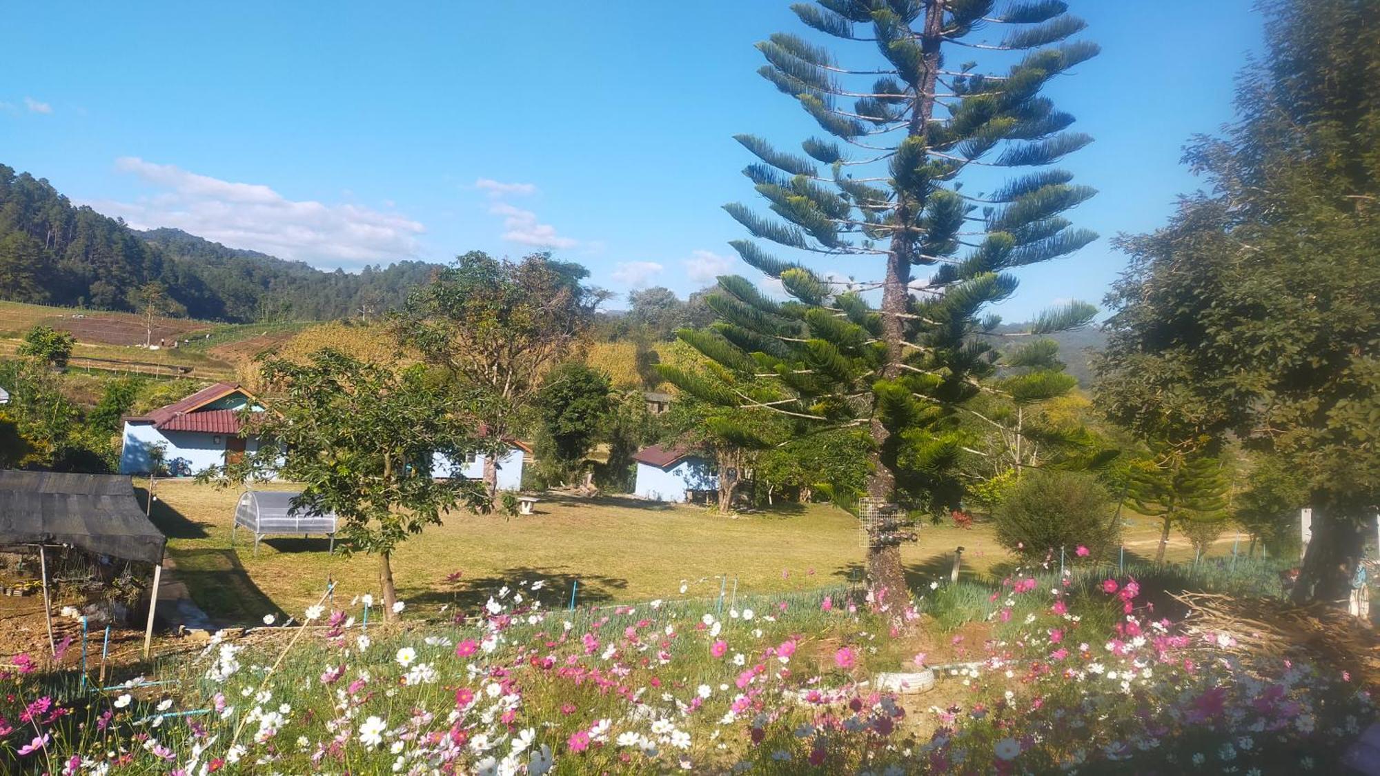 Pang Ung Mong Homestay Resort מראה חיצוני תמונה